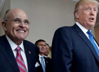 Nuevo memorando legal trae esperanza a los partidarios de Trump esta Navidad